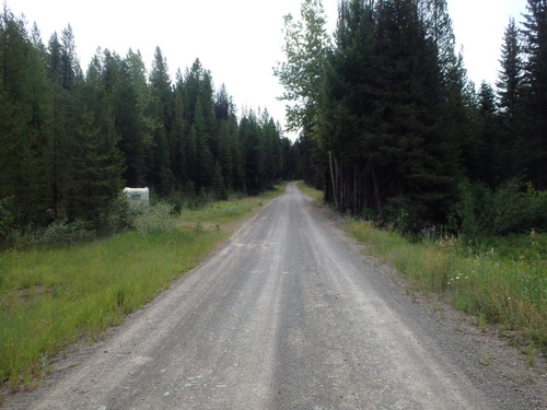 GDMBR: A Camper is enjoying solitude on NF-477.